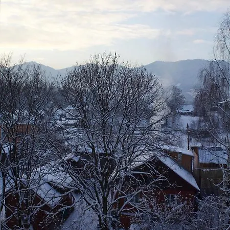 Hotel Yasinya * Yasinya