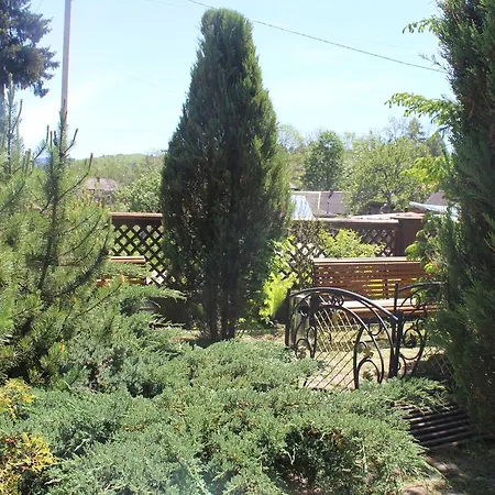 Hotel Hotel Yasinya *